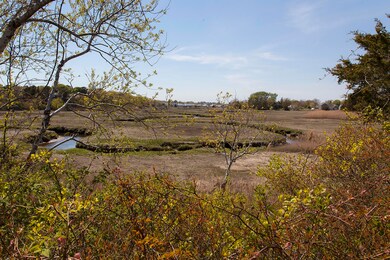 IMG_4683a (1)