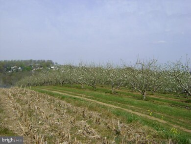 7836 Water St, Boyertown, PA 19512 - photo 6