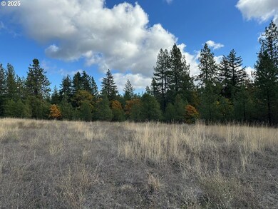 3 Garrison Rd, Goldendale, WA 98620 - photo 2