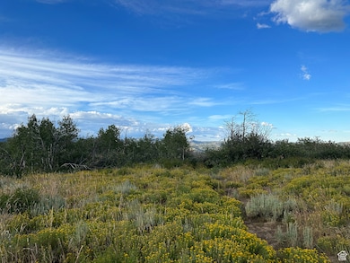 17899 E Snow Bird Dr unit 30D, Spanish Fork, UT 84526 - photo 5