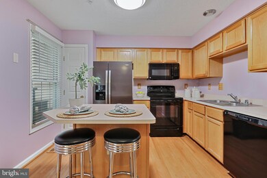 7923 Brightwind Ct, Ellicott City, MD 21043 - photo 6