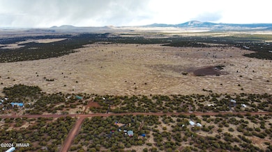 dji_fly_20240309_135036_266_171001749196