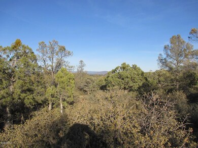 Photo 06