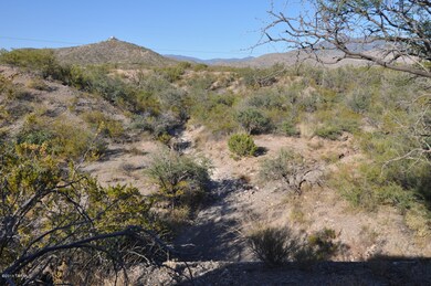 riparian area