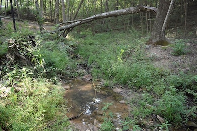 20298 Highway Vv, Licking, MO 65542 - photo 7