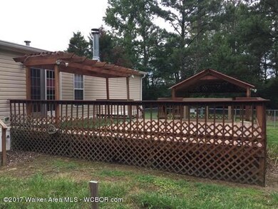 back deck
