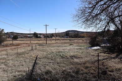 501 W 4th St, Walsenburg, CO 81089 - photo 3