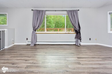 Living Room Window