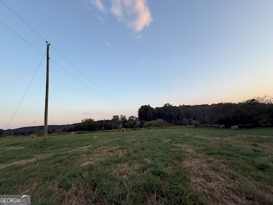 9 W L Williams Rd, Commerce, GA 30530 - photo 4