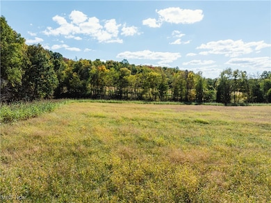 0 Moffett Rd, Lucas, OH 44843 - photo 5