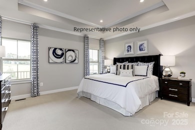 Representative Photo Only