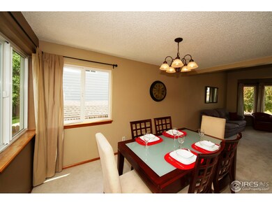 Sunny Formal Dining Room