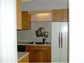 Refrigerator Remains
