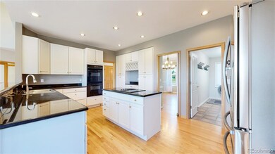 7372 S Flanders St, Centennial, CO 80016 - photo 7