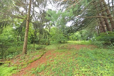 29221 Flat Run Rd, Danville, OH 43014 - photo 4