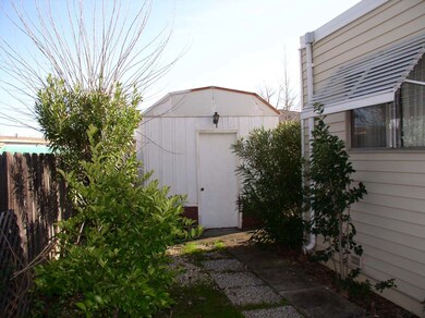 Shed #2