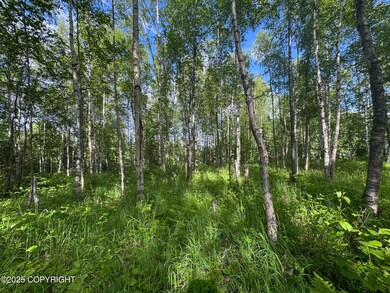 3597 S Dawn Lake Dr, Wasilla, AK 99654 - photo 7