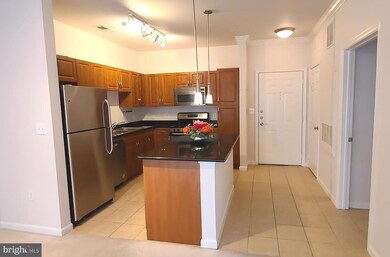 Bryson At Woodland Park unit 301, Herndon, VA 20171 - photo 4