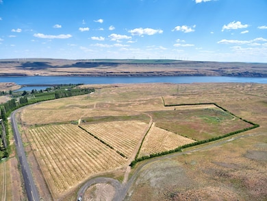 17 Sundale Dr, Roosevelt, WA 99356 - photo 4