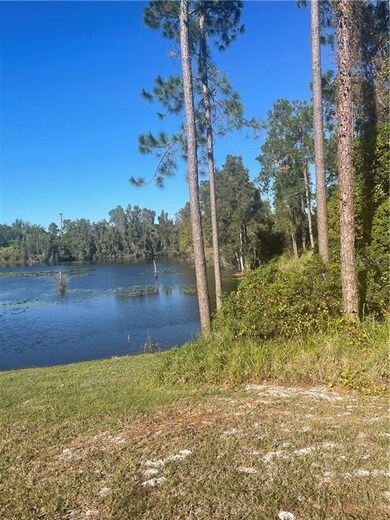 745 7th Ave, Gotha, FL 34734 - photo 5