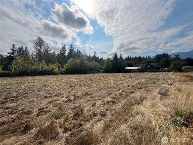 29438 X Highway 101, Quilcene, WA 98376 - photo 7