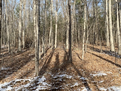 121 Sturbridge Rd, Brimfield, MA 01010 - photo 5