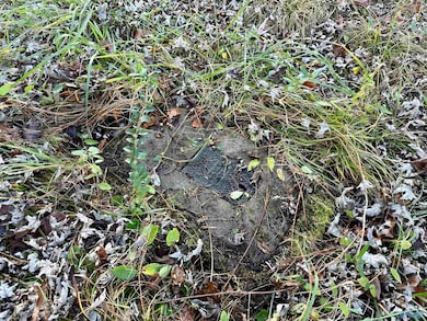 196 Teresa Dr, Madison, AL 35757 - photo 3