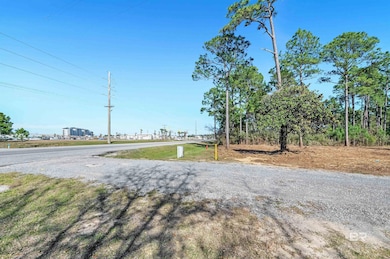 0 Canal Rd unit 2 375587, Orange Beach, AL 36561 - photo 4