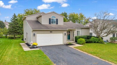03-DJI_20240930124534_0855_D
