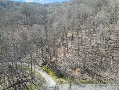 16 Chestnut Village unit 16, Mars Hill, NC 28754 - photo 3