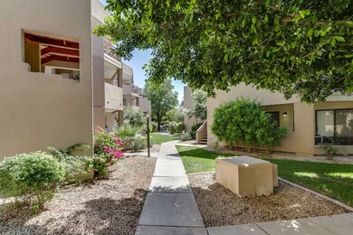 Desert Cove-004