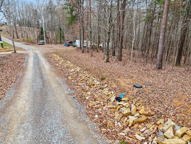 0 Retro Hughes Rd unit 1525195, Sale Creek, TN 37373 - photo 6