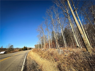 Lot-02 Langford Creek Rd, van Etten, NY 14889 - photo 4