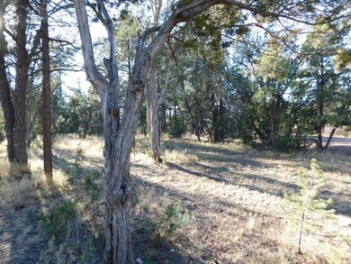 Roundup Rd (6)