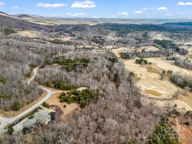 146 Wee Burn Cove, Mill Spring, NC 28756 - photo 7