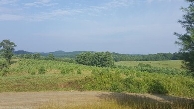View looking across the road.