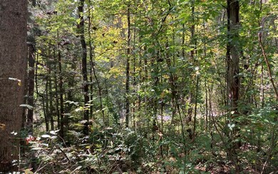 11 Mountain View Trail, Murphy, NC 28906 - photo 7