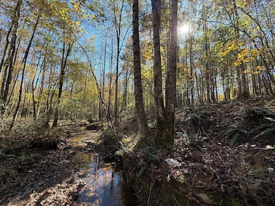 3050 County Highway 167, Hackleburg, AL 35564 - photo 4