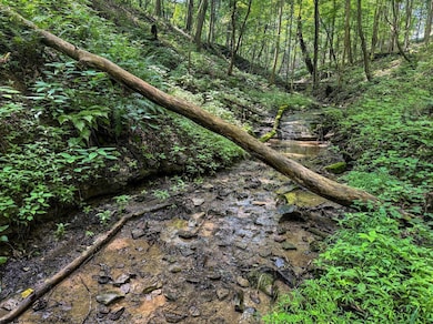 TBD Scenery Hill Rd, Wellsburg, WV 26070 - photo 3