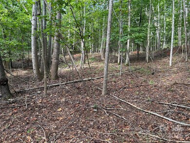 0 Hope Dr unit 20 CAR4299424, Rutherfordton, NC 28139 - photo 6