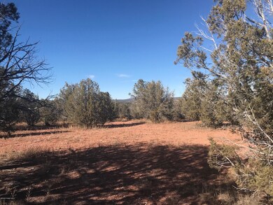 35 Cooks Trail, Ash Fork, AZ 86320 - photo 6