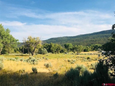 32651 County Road 500, Pagosa Springs, CO 81147 - photo 7