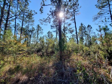 0 County Line Rd unit 19604811, Lee, FL 32059 - photo 6