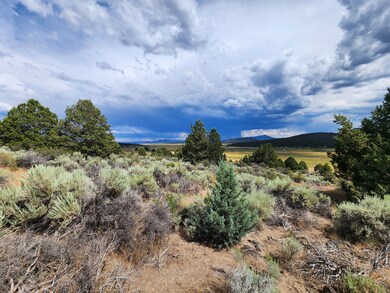 0 Drews Rd unit 25625857, Chiloquin, OR 97639 - photo 7