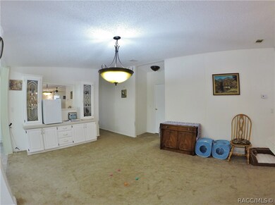 525 E Brandon St, Hernando, FL 34442 - photo 4