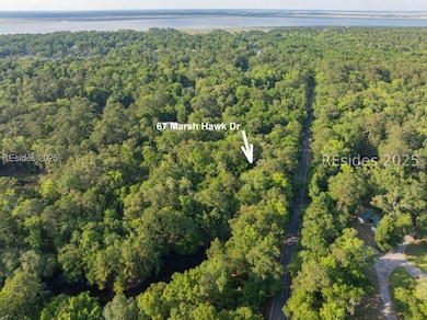 67 Marsh Hawk Dr, Beaufort, SC 29907 - photo 3