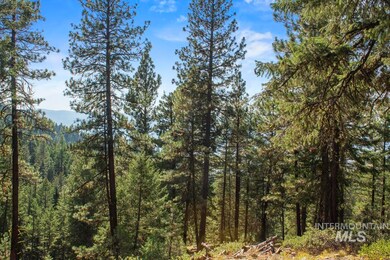 66 Truckee Trail, Cascade, ID 83611 - photo 5