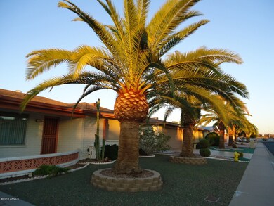 4302 E Carmel Circle Front Landscaping