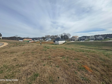 104 Azalea Ln, Loudon, TN 37774 - photo 3