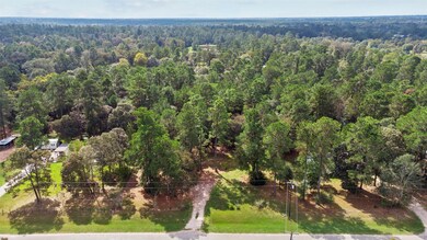 26077 Bent Oak Dr, Hockley, TX 77447 - photo 3